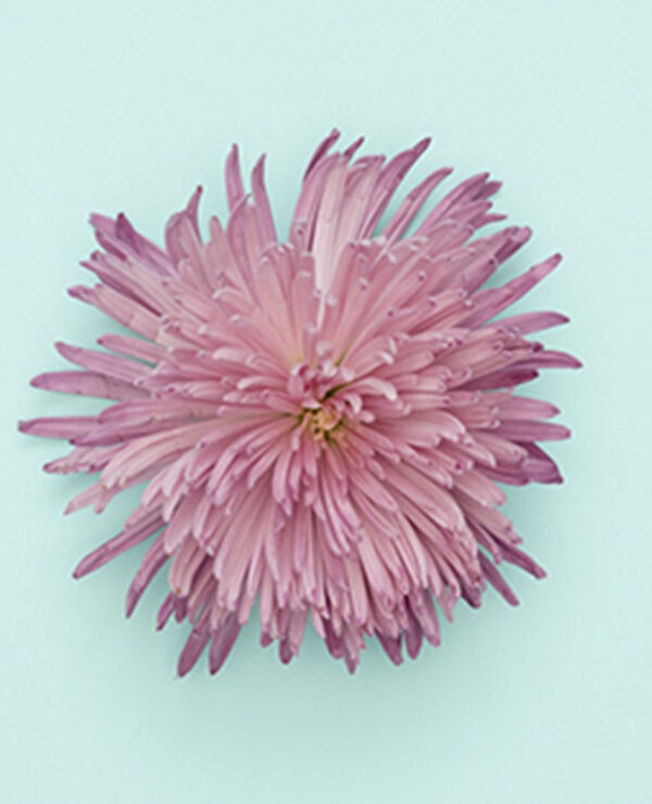 portfolio7 portfolio7